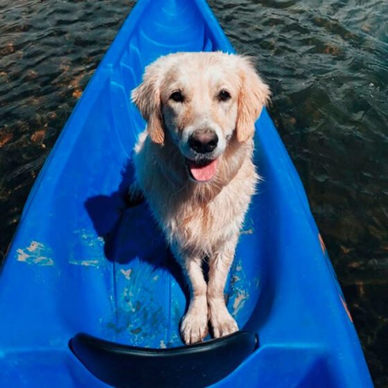 Canoa y perro en el Descenso del Sella - Cuáles son las medidas de una canoa para perro