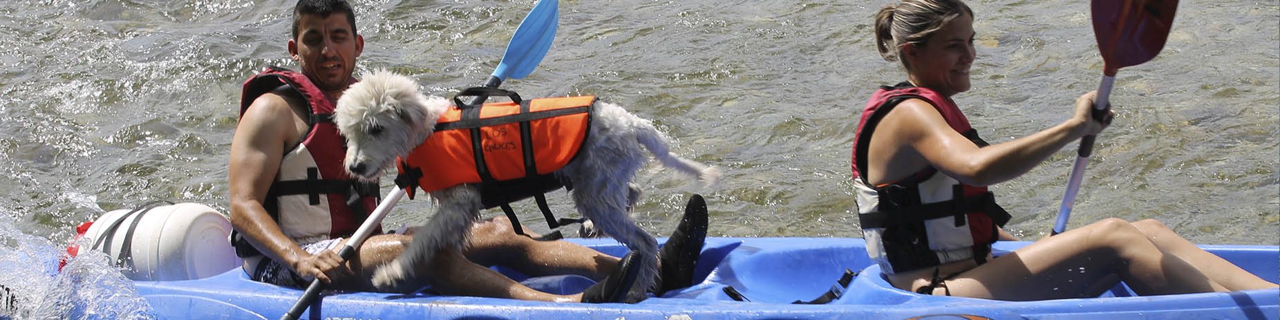 Descenso del sella con perro - Cuáles son las medidas de una canoa estándar