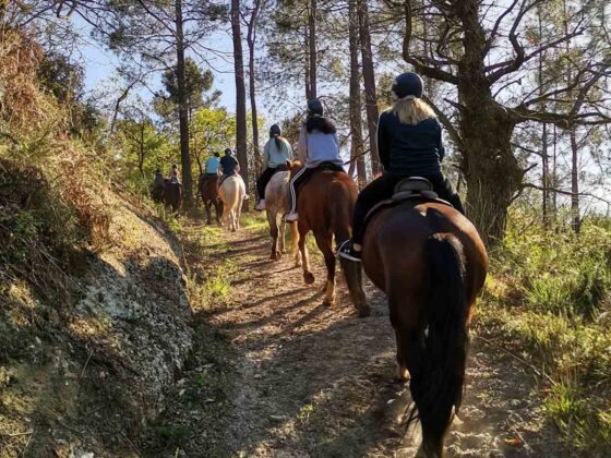Grupo haciendo una ruta a caballo en sus vacaciones de verano en Asturias 2022. Los Cauces Multi Aventura