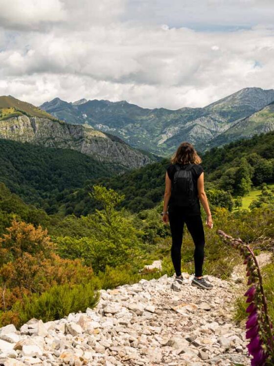 ¿Cuándo es la mejor época para visitar Asturias?