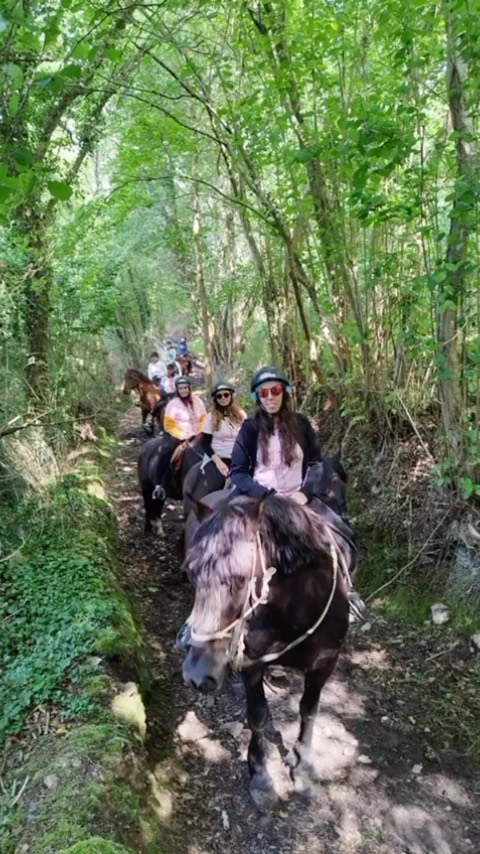 ¿Te gustaría conocer Asturias de un modo diferente?
¡¡Súbete a lomos de un caballo!!🐴 Podrás ver la naturaleza con una experiencia totalmente sorprendente.Reserva ya!! Somos Los Cuaces.
☎️ 985 84 01 38 | 659 93 43 91
🌿 https://www.loscauces.com#rutasacaballo #caballos #rutasacaballoenasturias #loscaucesmultiaventura ##actividadesdeaventura #emocion #viveasturias #asturiasparaisonatural #viveloscauces #asturias #picosdeeuropa #loscaucesmultiaventura #viveasturias #asturiasparaisonatural #asturiasgram #asturiasgrafias #asturiasesunparaiso