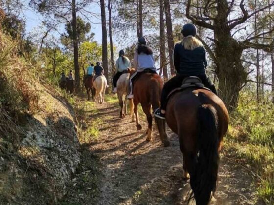 Grupo haciendo una ruta a caballo en sus vacaciones de verano en Asturias 2022. Los Cauces Multi Aventura