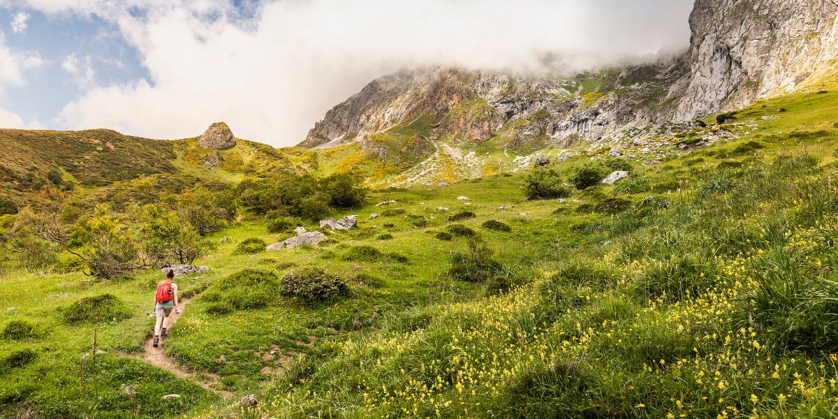 Conexión con la naturaleza
