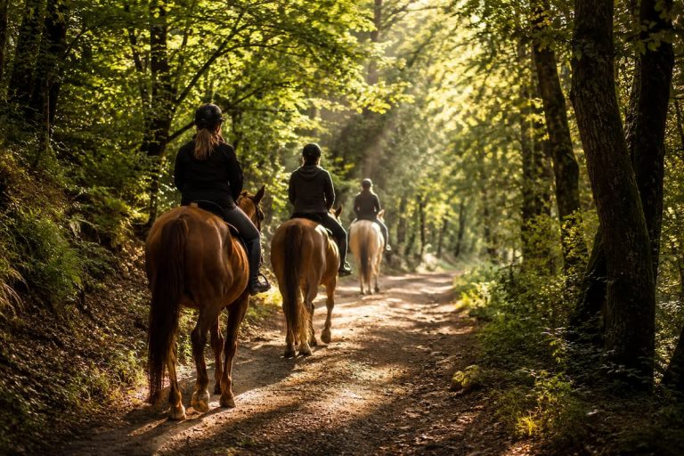 Ruta a caballo por un sendero forestal iluminado por la luz del sol entre árboles