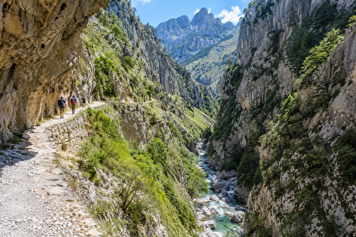 Varios senderistas caminando por la Ruta del Cares entre altas paredes de roca y el río al fondo.